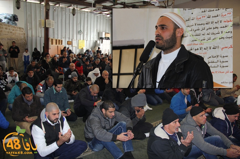 mahomoud shaneer (1).JPG